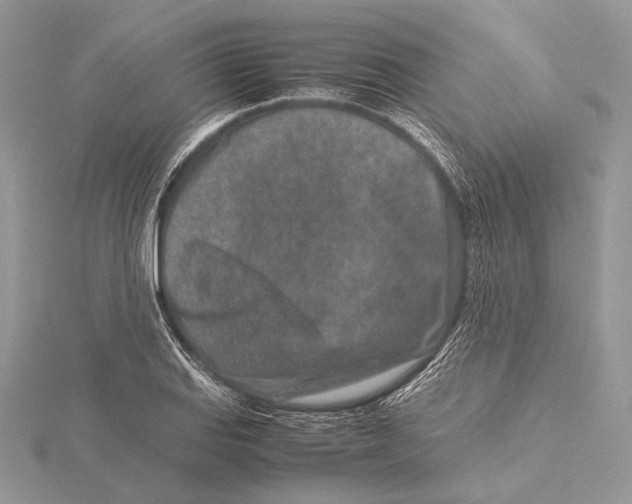 X0000115541127200912041005