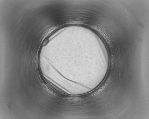 X0000115541129200912041005