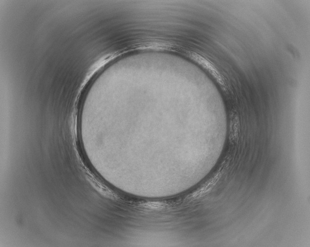 X0000115541130200912041005