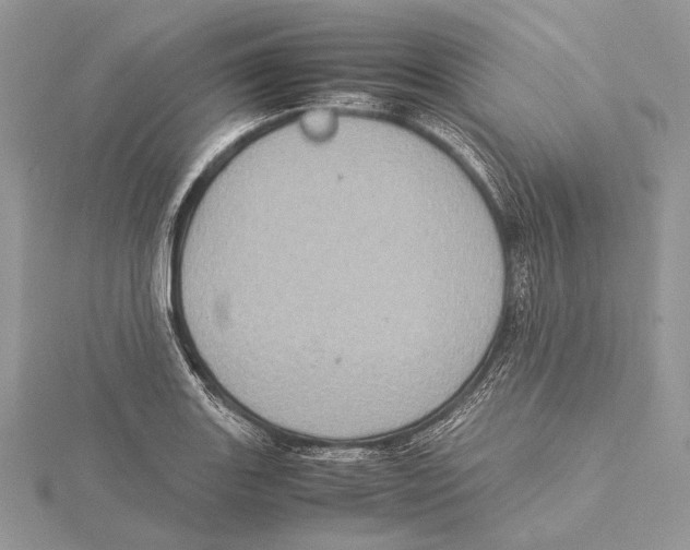 X0000115541131200912041005