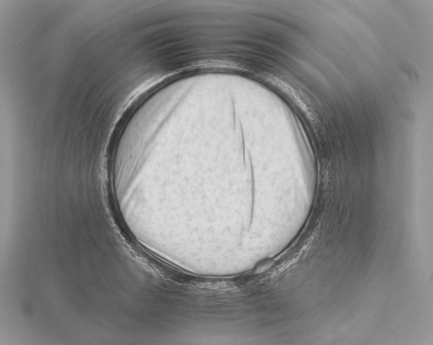 X0000115541133200912041005