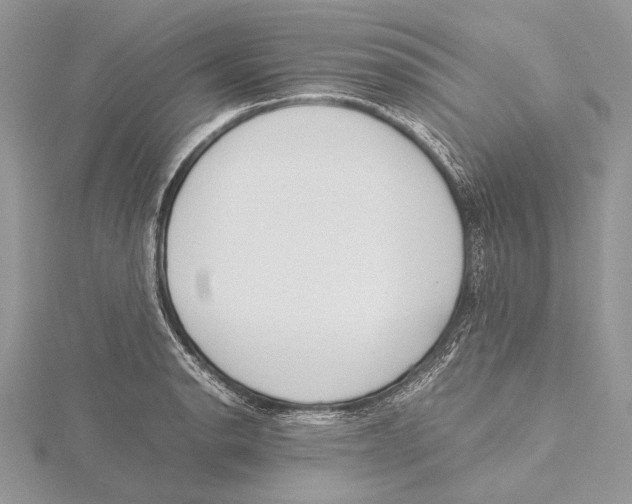 X0000115541134200912041005