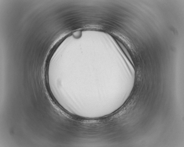 X0000115541135200912041005