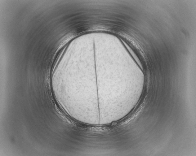 X0000115541137200912041005