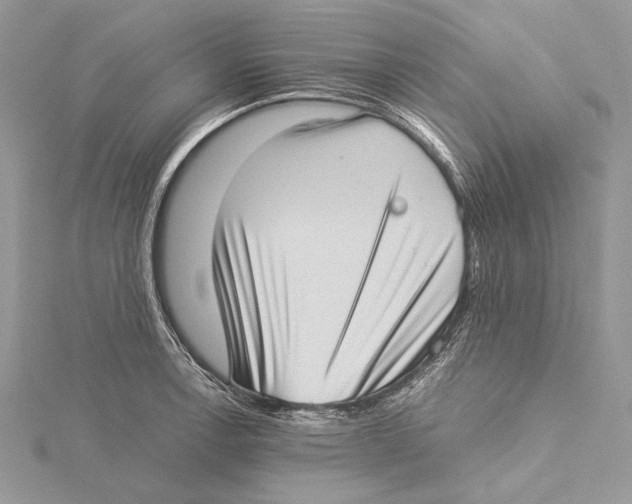 X0000115541138200912041005