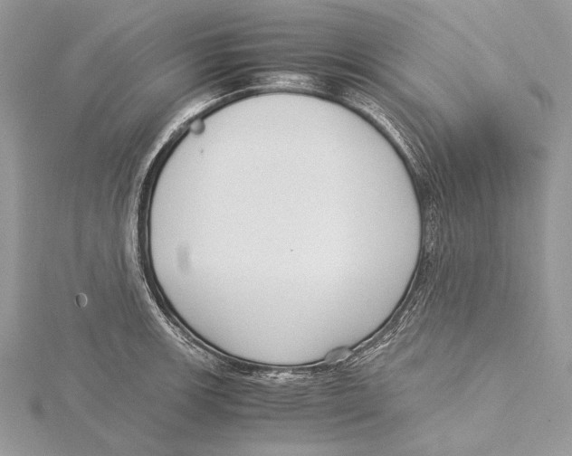 X0000115541139200912041005