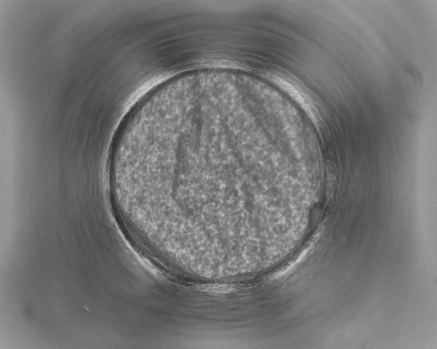 X0000115541141200912041005