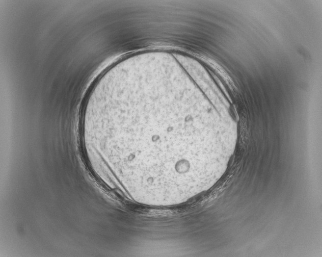 X0000115541142200912041005