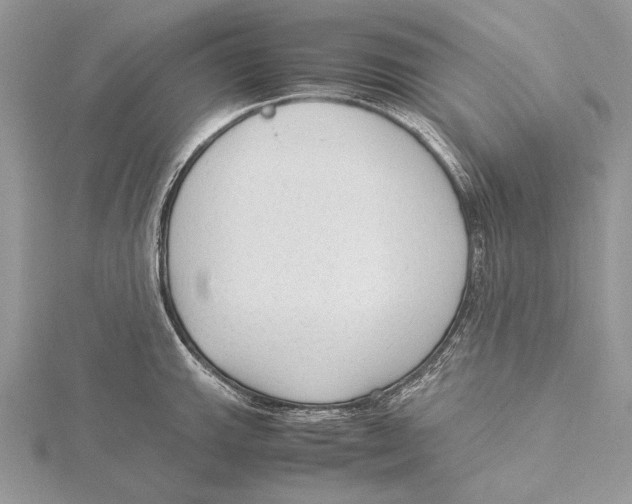 X0000115541143200912041005