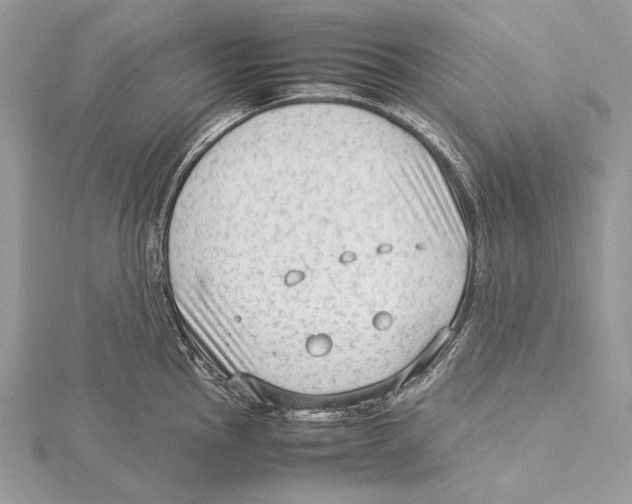 X0000115541145200912041005