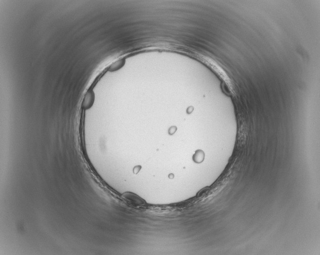 X0000115541146200912041005