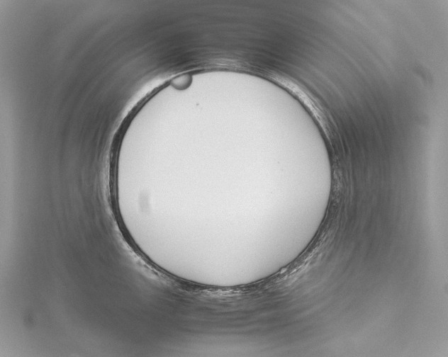 X0000115541147200912041005