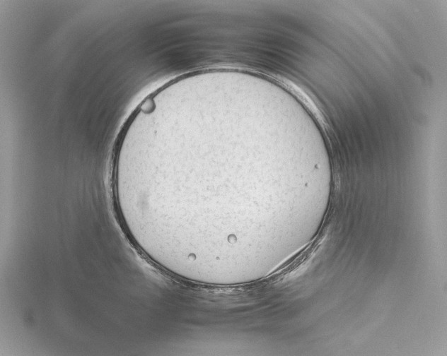 X0000115541149200912041005