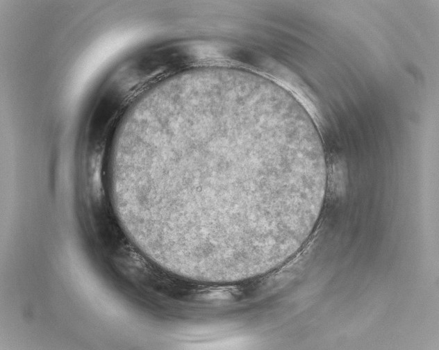 X0000115541150200912041005