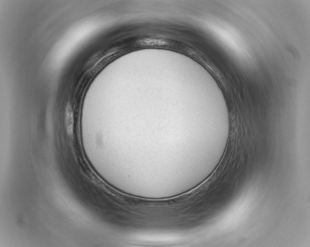 X0000115541151200912041005