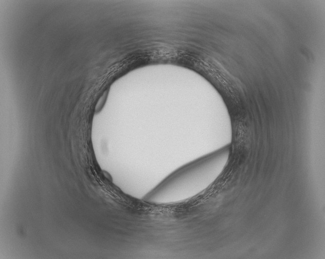 X0000115541153200912041005