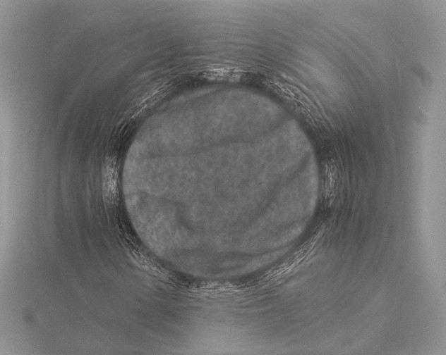 X0000115541154200912041005