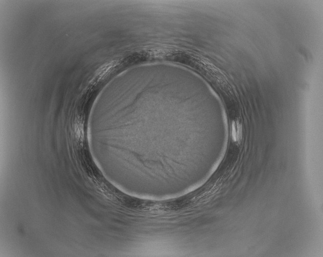 X0000115541155200912041005