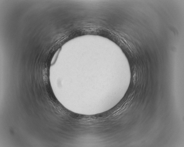 X0000115541156200912041005