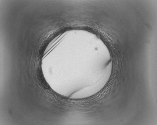 X0000115541157200912041005