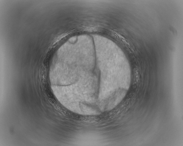 X0000115541158200912041005