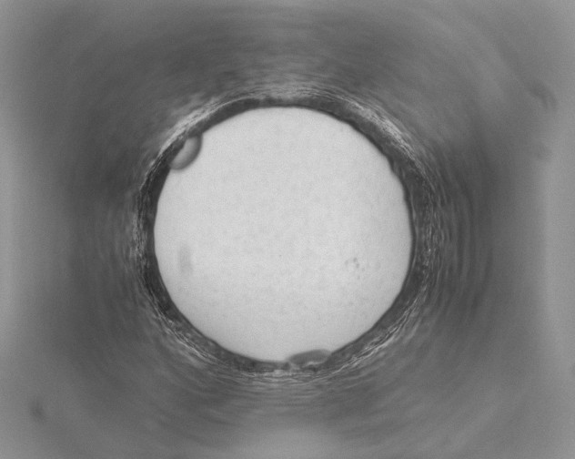 X0000115541160200912041005