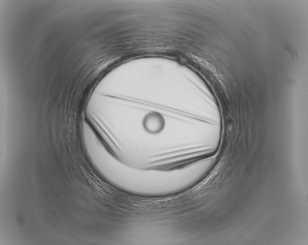 X0000115541161200912041005