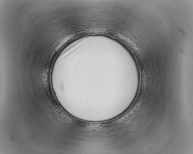 X0000115541162200912041005