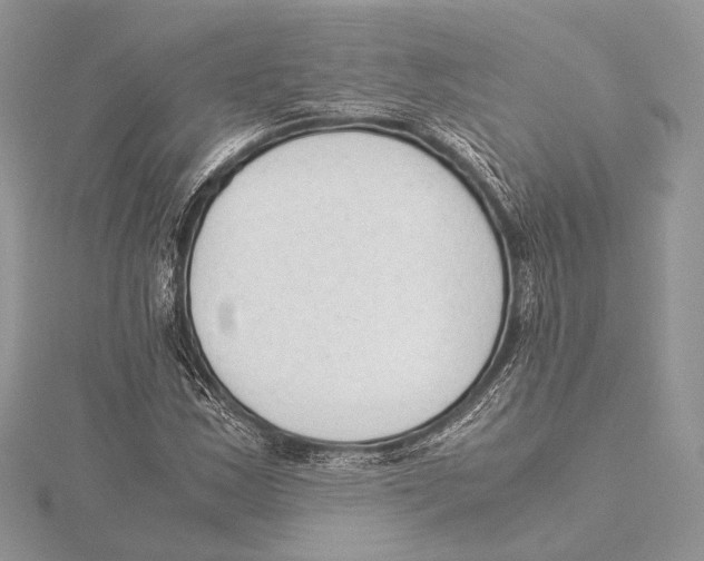 X0000115541163200912041005