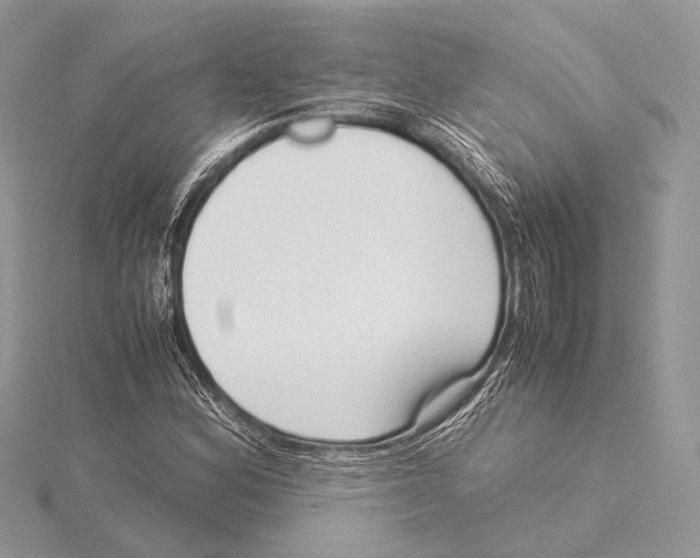 X0000115541164200912041005