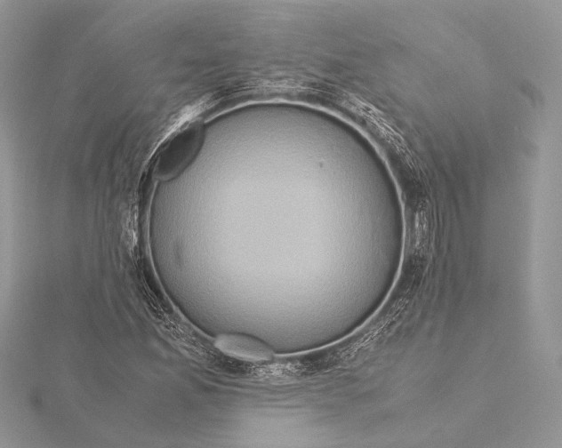 X0000115541165200912041005