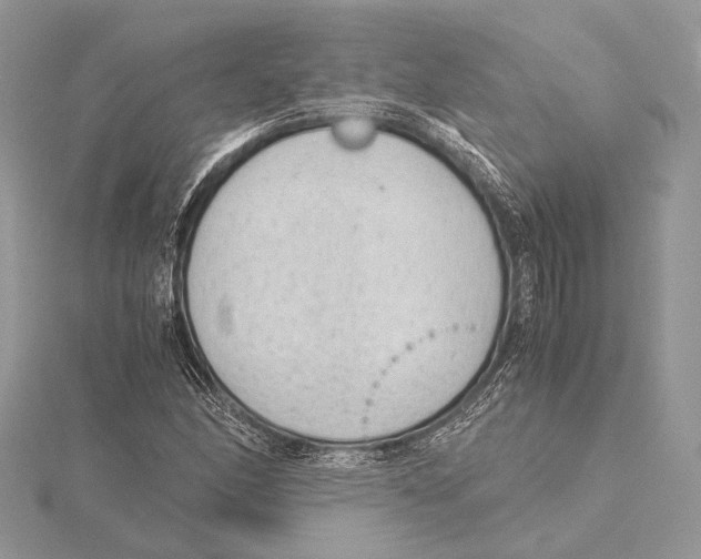 X0000115541166200912041005