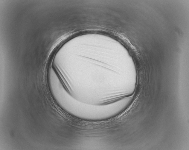 X0000115541167200912041005