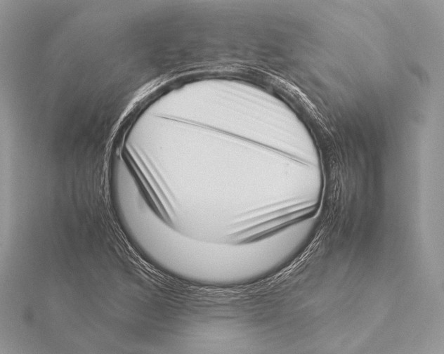 X0000115541168200912041005