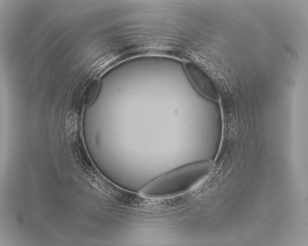 X0000115541169200912041005