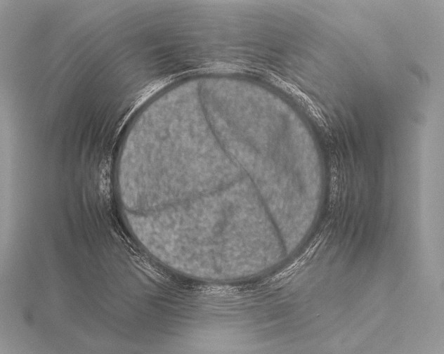 X0000115541170200912041004