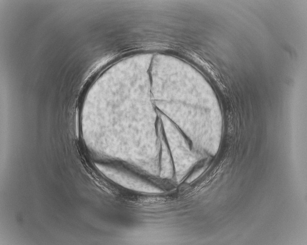 X0000115541171200912041004