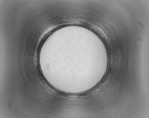 X0000115541172200912041004