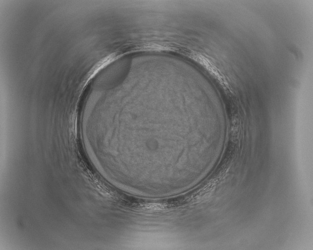 X0000115541173200912041004