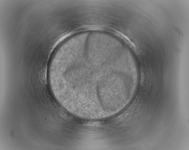 X0000115541174200912041004