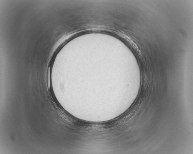 X0000115541175200912041004