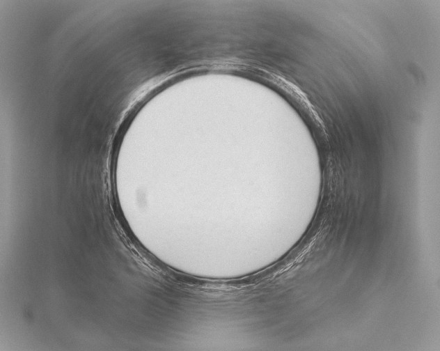 X0000115541176200912041004