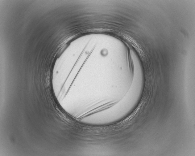 X0000115541177200912041004