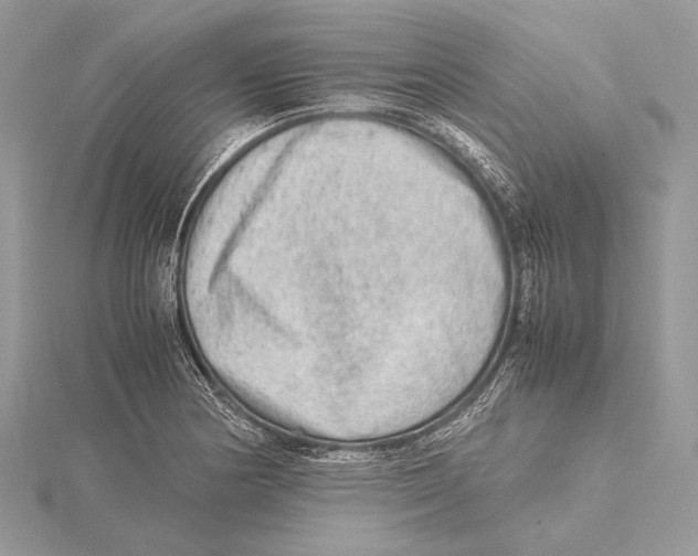 X0000115541178200912041004