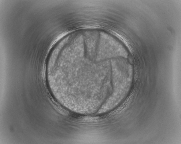 X0000115541179200912041004