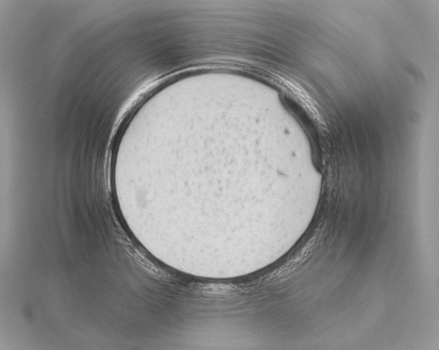 X0000115541180200912041004