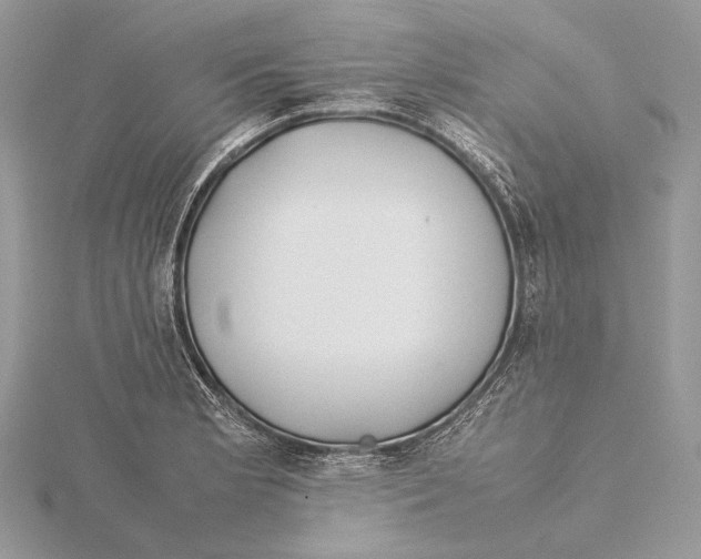 X0000115541181200912041004