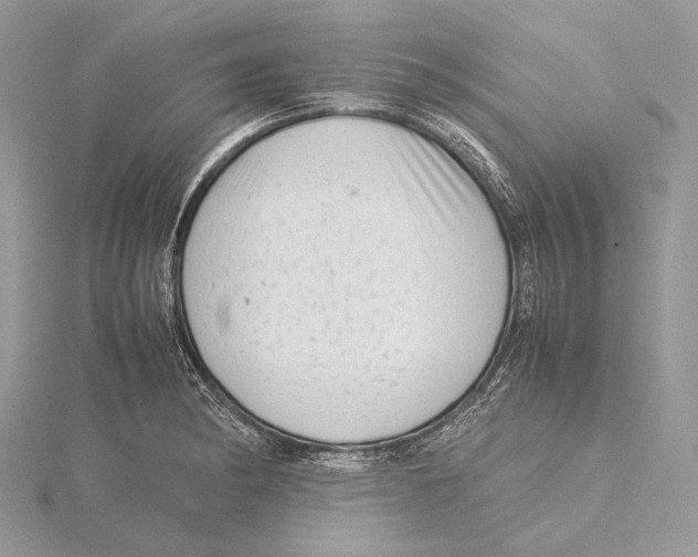 X0000115541182200912041004