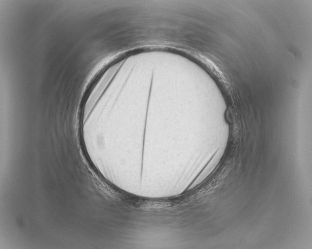 X0000115541183200912041004