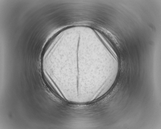 X0000115541184200912041004